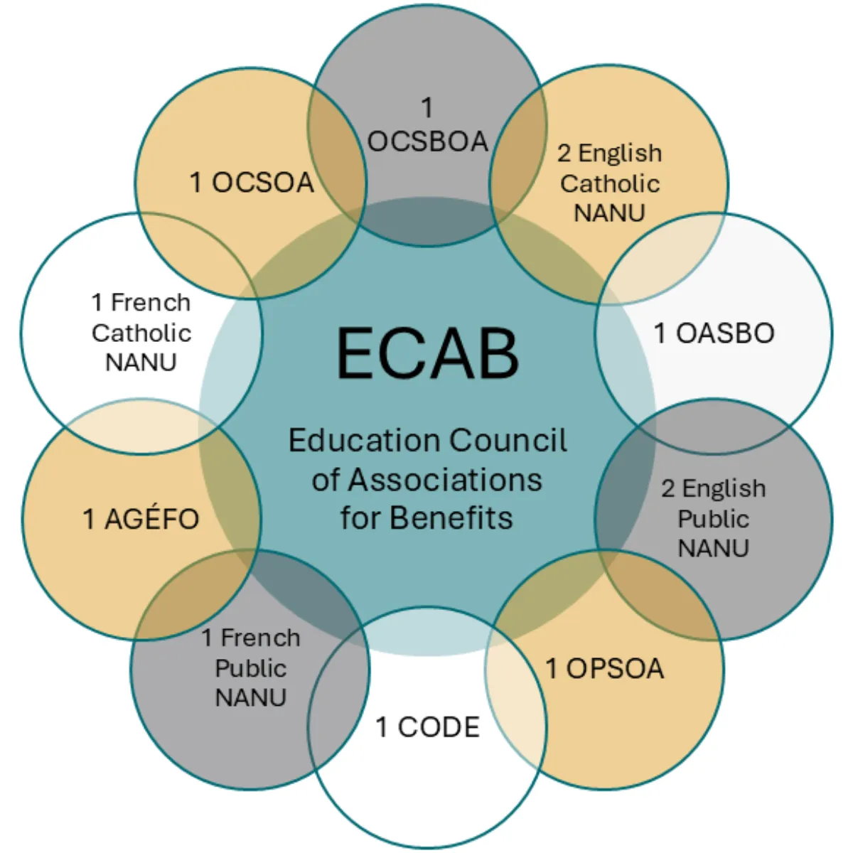 CAEAS-ECAB Board Diagram