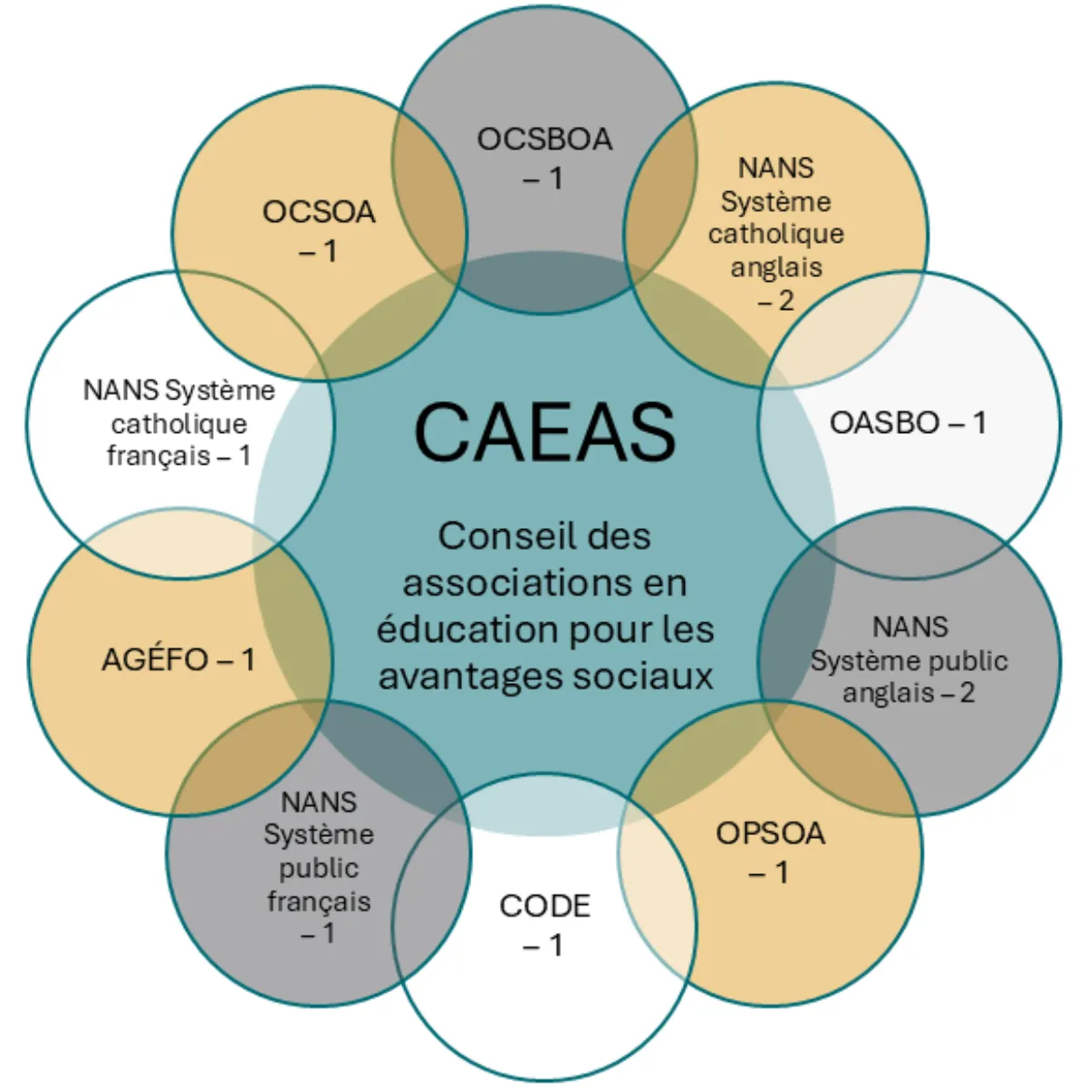 Schéma du conseil d'administration de CAEAS-ECAB